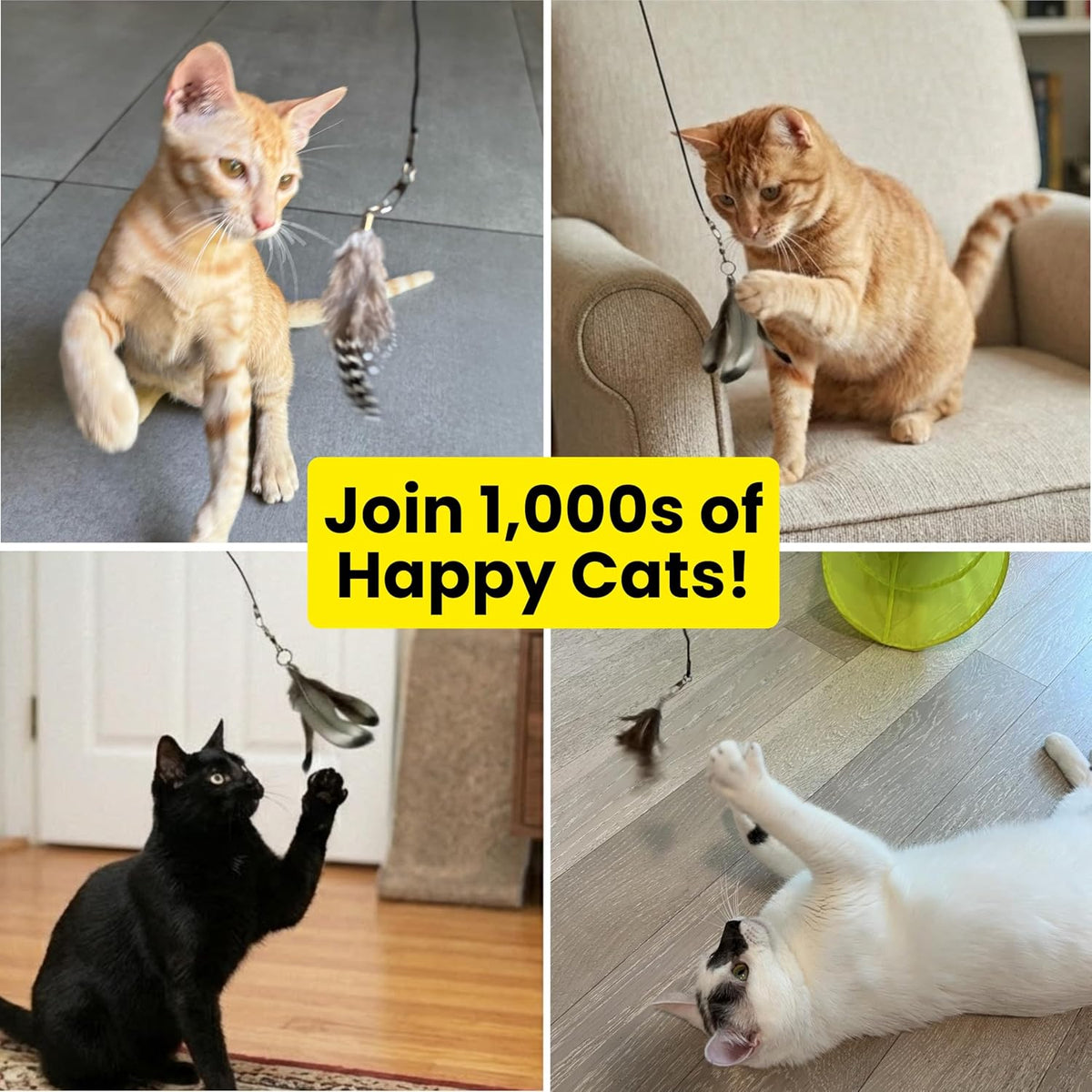 Forever Stick Refill 9-Pack, Feather Cat Wand Toy Attachment – Essentials for Cats - Feather Toys Refill 9-Pack - image 2