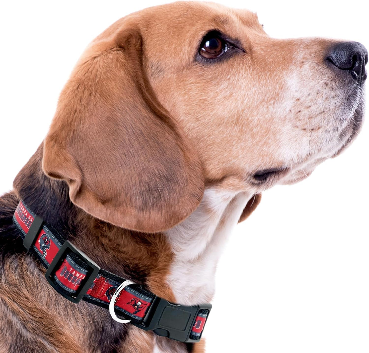 NFL Vikings Dog & Cat Collar - Tampa Bay Buccaneers / Small - image 4