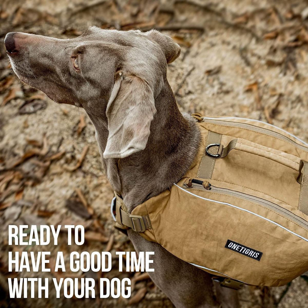ONETIGRIS Y-Shaped Dog Backpack with Handle - Large / Brown - image 3