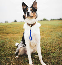 Short Dog Leash - 9 Inch Dogs Lead Grab Tab Heavy Duty Waterproof PVC Dog Training Traffic Leashes - 9'' / Blue - image 2