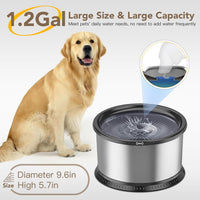 6.5L Stainless Steel Dog Water Bowl - Black / 4.5L - image 2