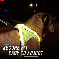 Noxgear LightHound - Multicolor LED Illuminated, Reflective Dog Harness (Medium)