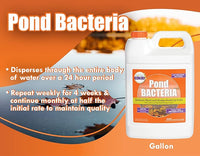 PondWorx Pond Bacteria - Formulated for Large Ponds, Water Features and Safe for Koi - Gallon