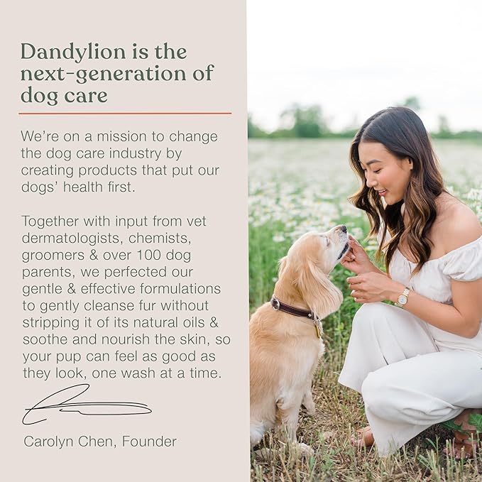 Dandylion Clean Paws No-Rinse Foaming Cleanser Refill – Gentle, Fragrance-Free, pH-Balanced for Dogs, 10 fl oz