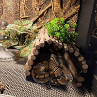 Extra Large Tortoise Hide Reptile Hideout Wood Turtle Tunnel – Essentials for Reptiles And Amphibians - XL-19.7 x 11.8 -2 PACK - image 3