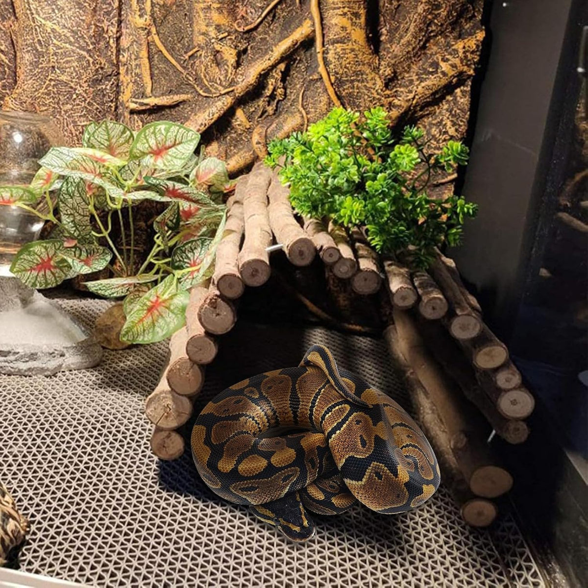 Extra Large Tortoise Hide Reptile Hideout Wood Turtle Tunnel – Essentials for Reptiles And Amphibians - XL-19.7 x 11.8 -2 PACK - image 3