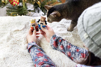 Pearhead Fall Maple Leaf and Syrup Cat Toys, Set of 2 – Essentials for Cats - Nutcracker Cat Toys - image 3
