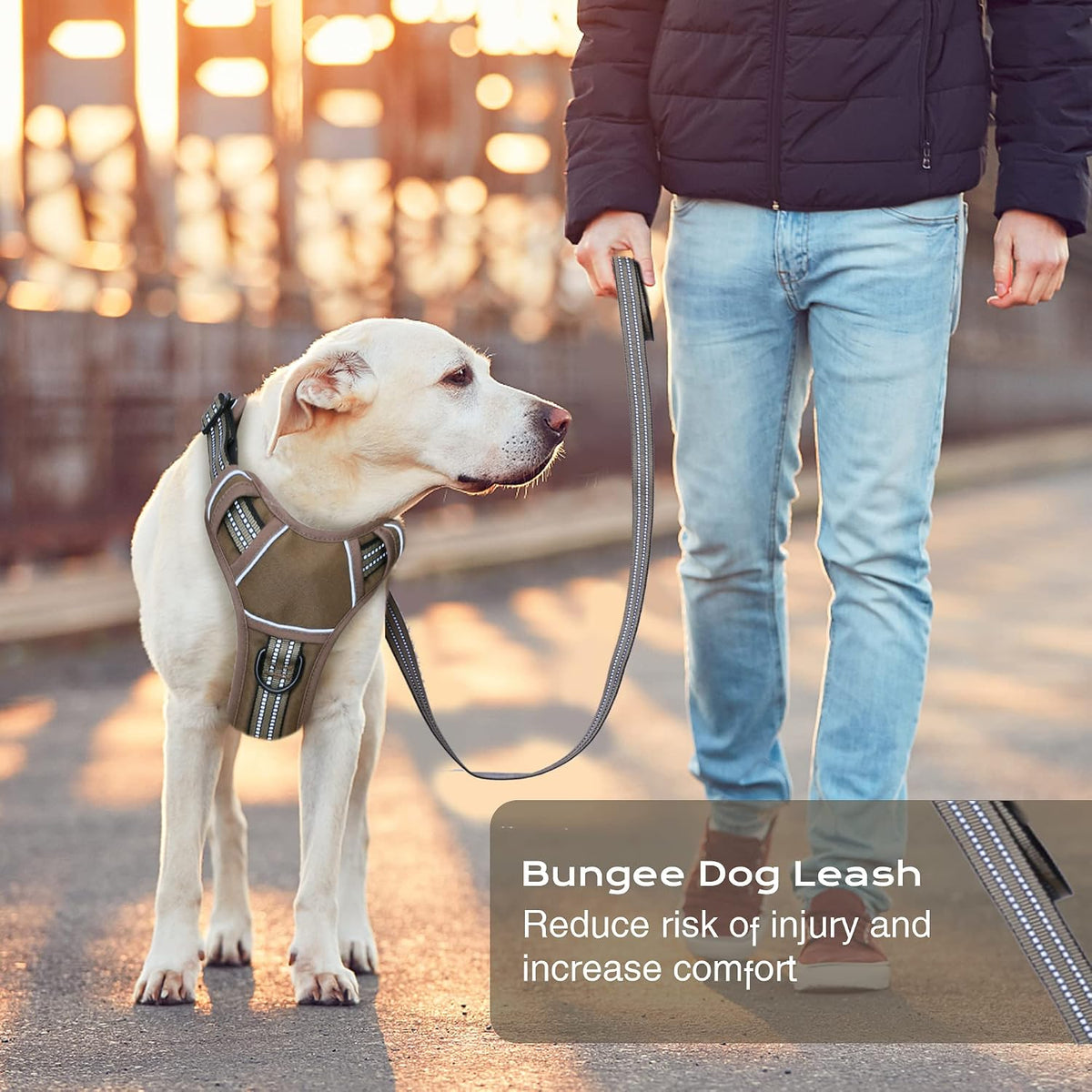No Pull Dog Harness for Medium Dogs - Brown / M - image 2