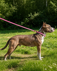 Dog Leash Slip Lead Braided Rope Pet Training Loop Leashes 5ft 6ft 8ft – Essentials for Dogs - Pink / 2PCS Slip Lead-3/8in x 6ft Small - image 4