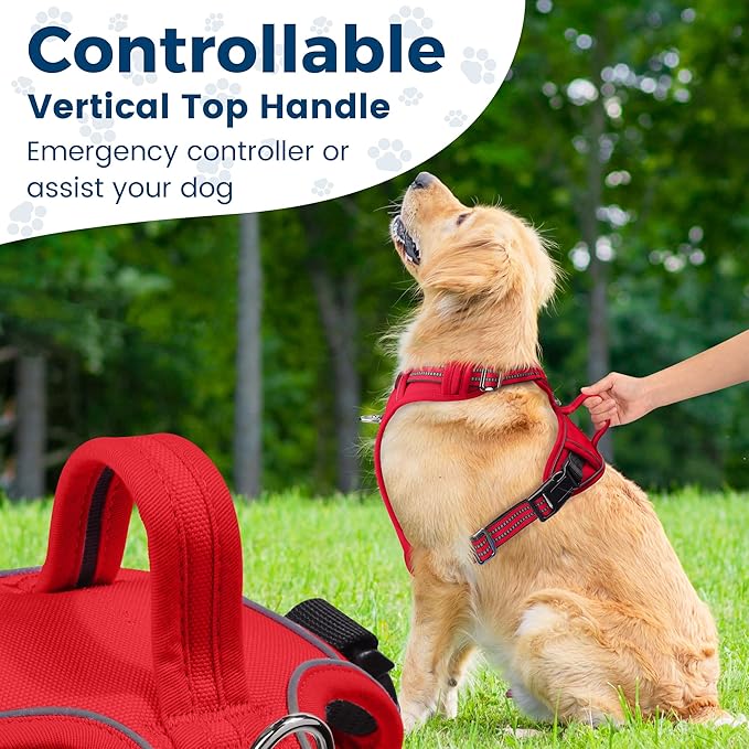 Funfox Dog Harness No Pull, Adjustable Pet Vest Harness, Super Soft Material with Vertical Handle Easy Control, Reflective Night Walking, 2 Leash Clips for Small Sized Dogs, Red, S