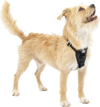 Kurgo Enhanced Strength Tru-Fit Smart Harness - Black / X-Small