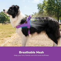 Didog No Pull Dog Harness for Large Dogs, Breathable Mesh Padded - Purple / M: Chest 21-27", Fit 28-50 lbs - image 2