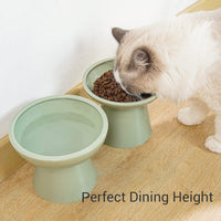 2-Pack Elevated Ceramic Cat Bowls Extra Wide for Food & Water – Essentials for Cats - Sage Green - image 4