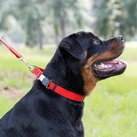 Dogline Biothane Waterproof Dog Collar with Herm Sprenger Stainless Steel Quick Release Buckle – Heavy Duty Tactical Durable Collar for Dogs – Comfortable and Safe Pet Collar, W 3/4" L 12-19", Red