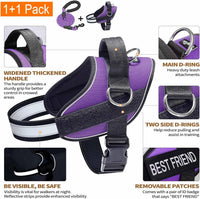 Haapaw Essential Dog Harness - M / Purple - image 2