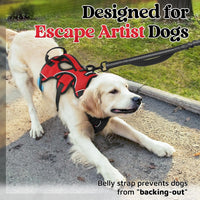 rabbitgoo Escape Proof Dog Harness for Large - Red / X-Large - image 2