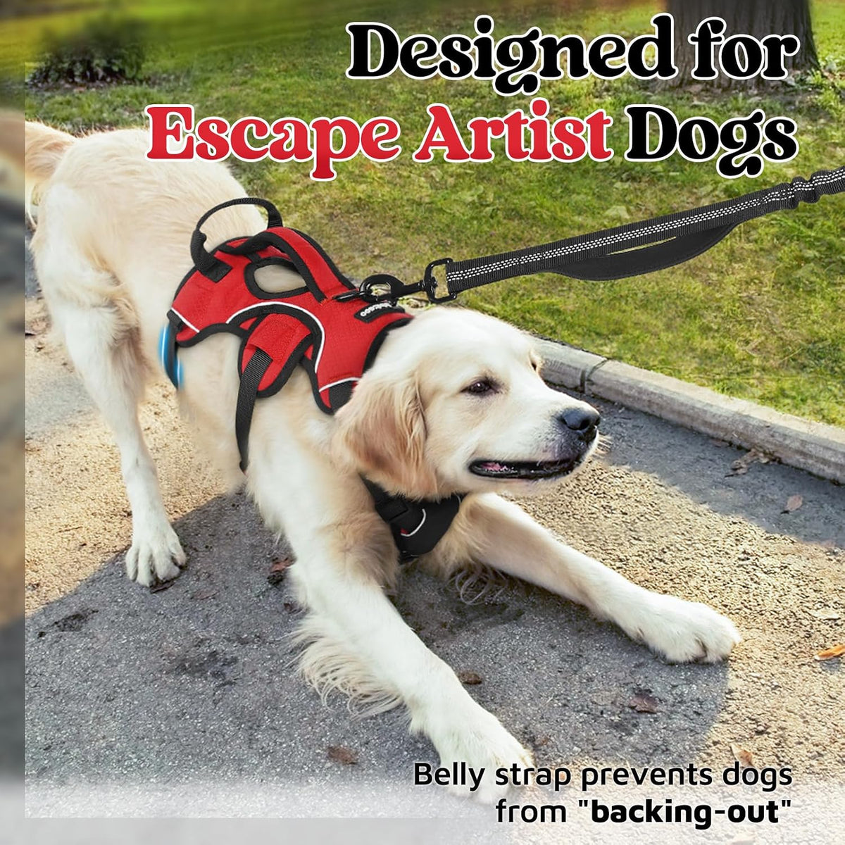 rabbitgoo Escape Proof Dog Harness for Large - Red / X-Large - image 2