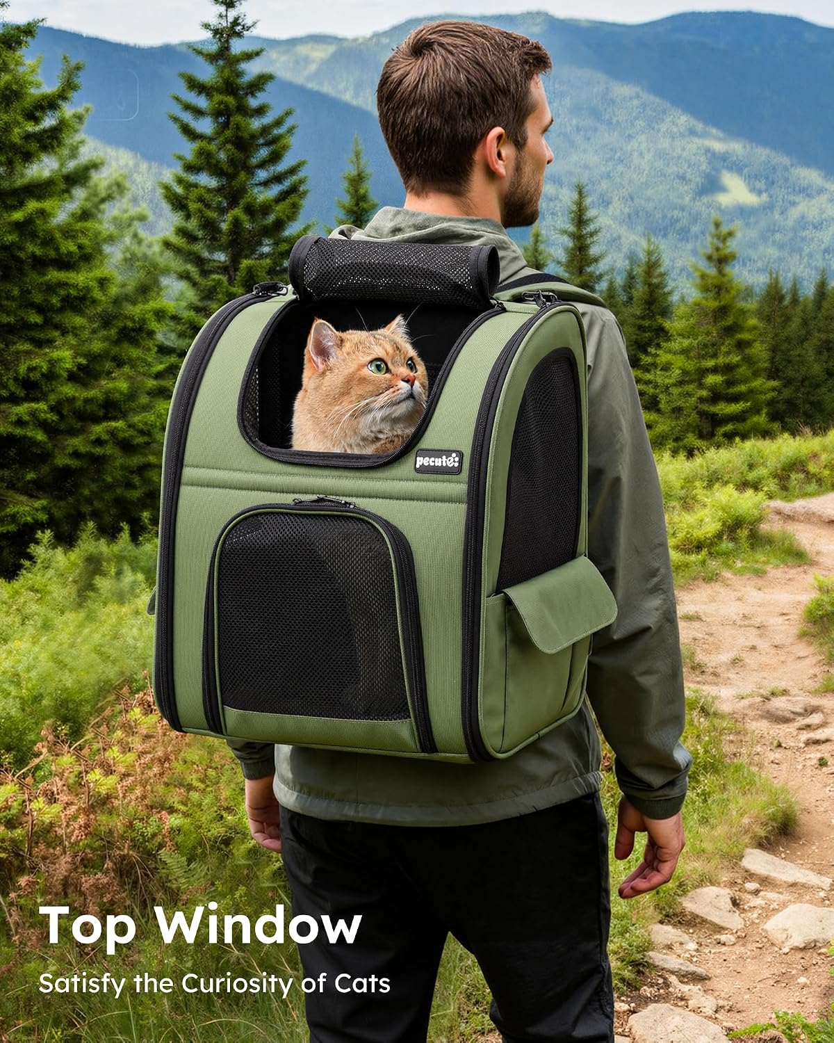 pecute Cat Backpack Expandable - Geen / 12.6"L x 10.2"W x 16.5"H / Mesh Window - image 3