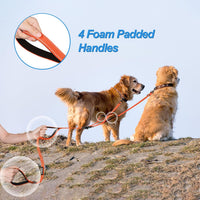Double Dog Leash, No Tangle Dual Leash - Orange - image 3