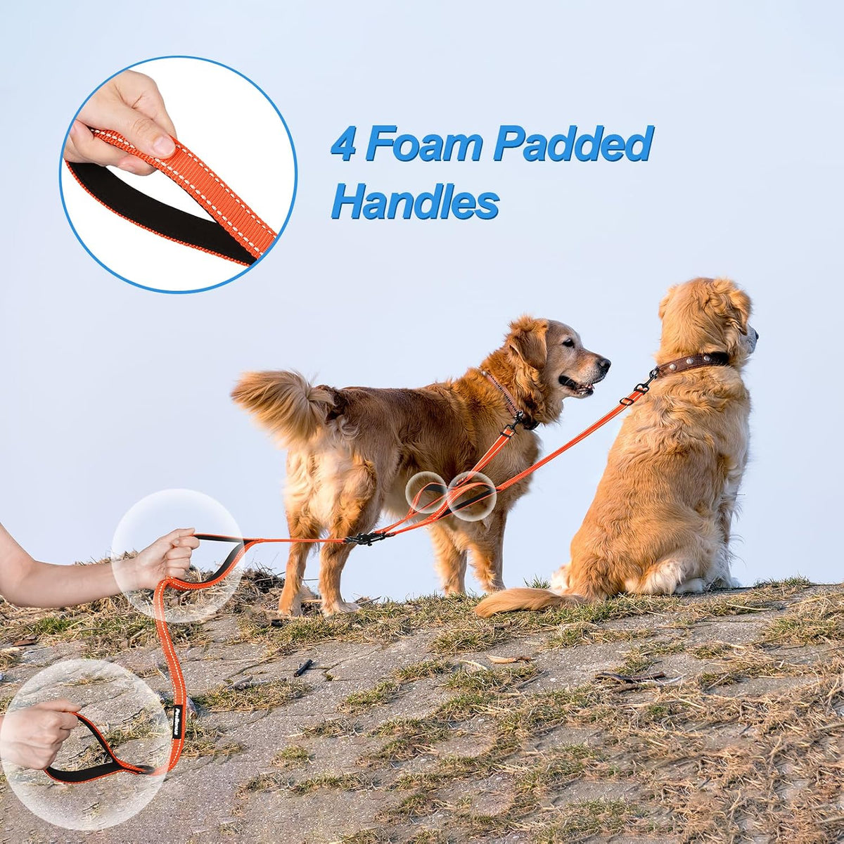 Double Dog Leash, No Tangle Dual Leash - Orange - image 3