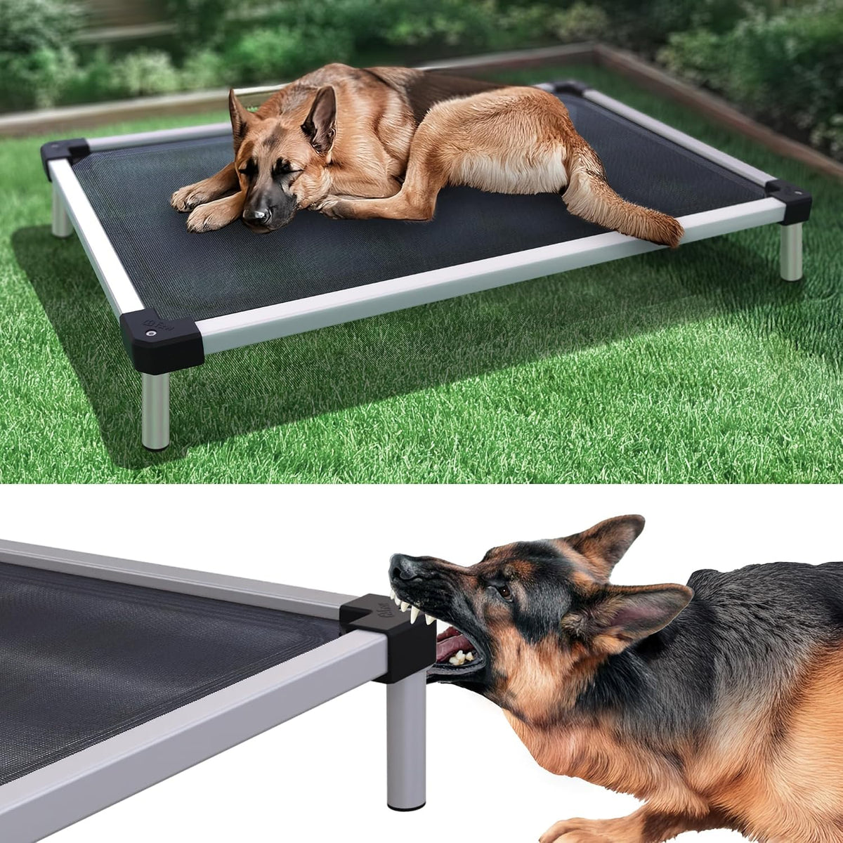 FXW TitanNest Cooling Chew-Proof Elevated Dog Bed for Medium Dogs – Essentials for Dogs - Standard Dog Bed / Large Dog (47.0"L x 29.0"W x 7.3"H)
