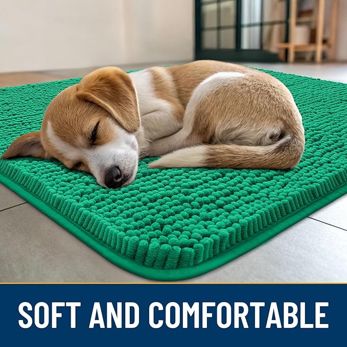 Smiry Dog Door Mat for Muddy Paws 36x24, Absorbs Moisture and Dirt Doormat, Non-Slip Washable Quick Dry Chenille Front Door Mat Indoor Entrance, Entryway Carpet for Inside Floor, Emerald Green