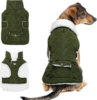 Dog Winter Coat for Cold Weather - Green / Medium