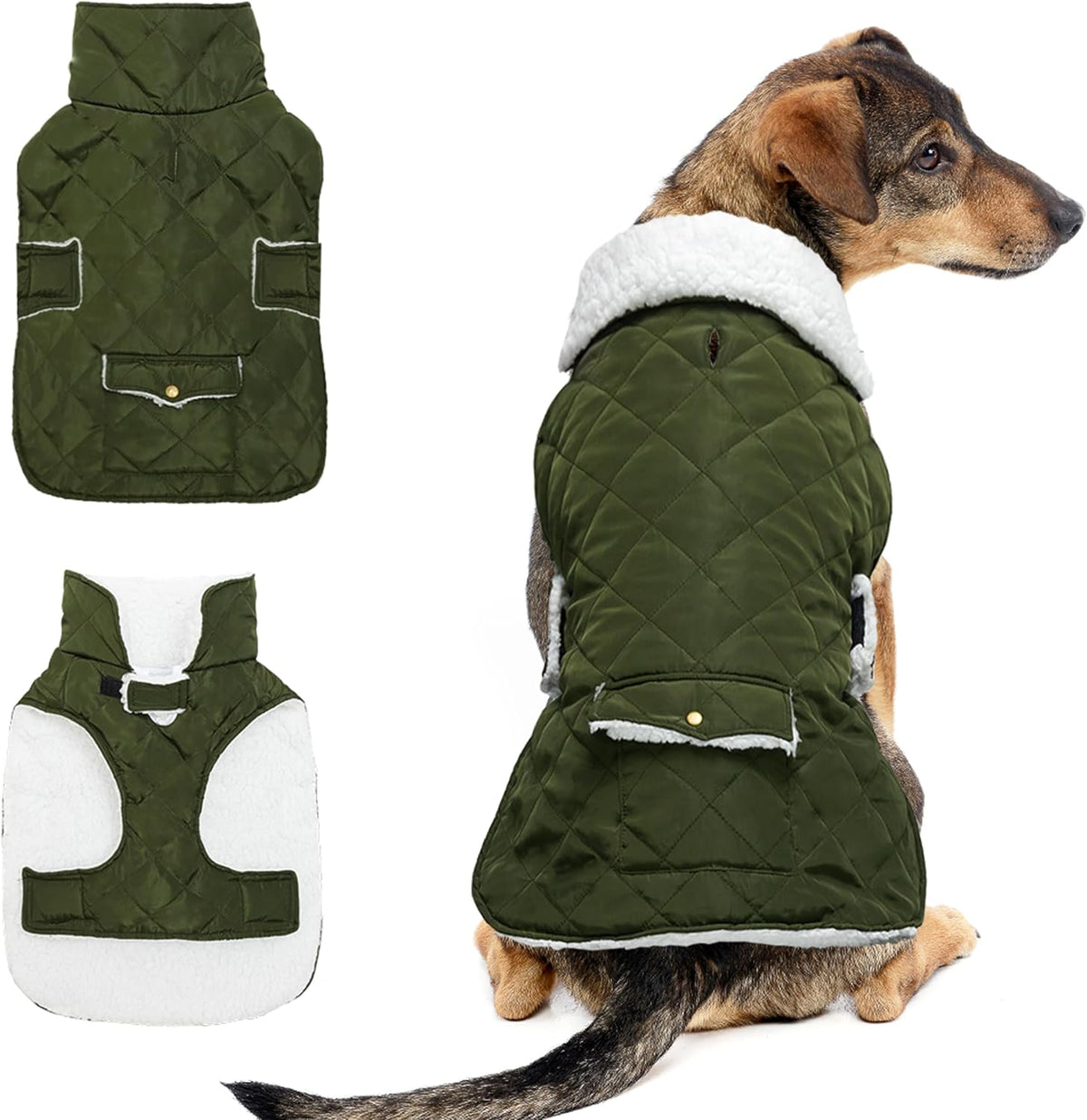 Dog Winter Coat for Cold Weather - Green / Medium