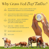 Beef Tallow Sunscreen Organic with Non Nano Zinc Oxide Formula for Daily Protection, 4oz Reef Safe Sunblock, SPF 30 All Natural Chemical Free Sunscreen, Made in USA, Natural Organic Sunblock for Skin