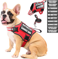 Service Dog Vest Harness and Leash Set+10 Patches - Medium / Red