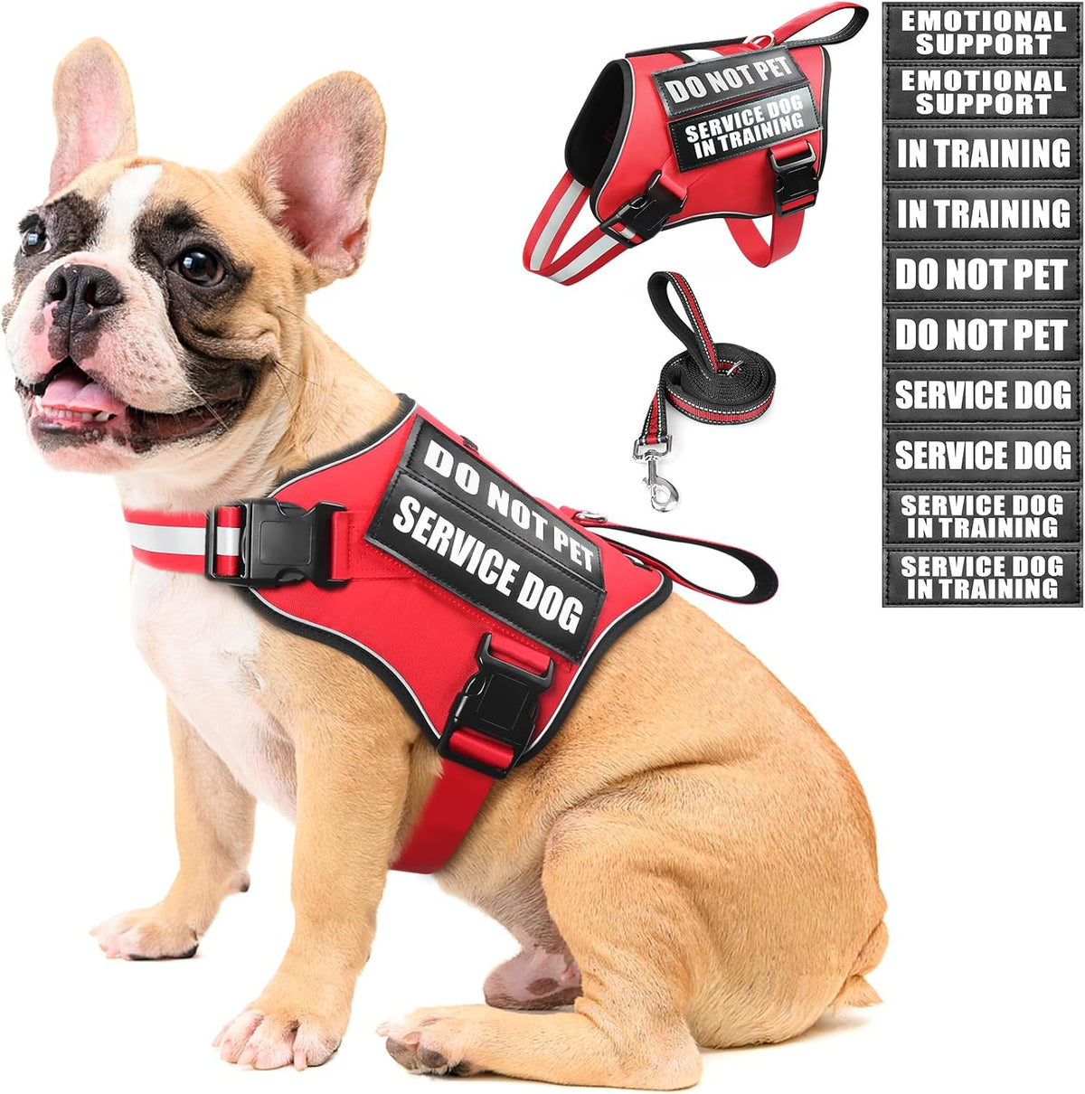 Service Dog Vest Harness and Leash Set+10 Patches - Medium / Red