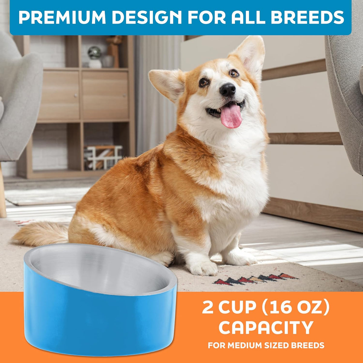 Master Pet Supply Stainless Steel Slanted Dog Cat Food Bowl 24 oz - True Blue / 2 Cups (16 oz) - image 4