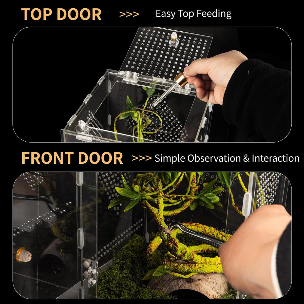 Acrylic Reptile Terrarium Easy Assembly - Large-11.8*7.9*7.9in - image 4