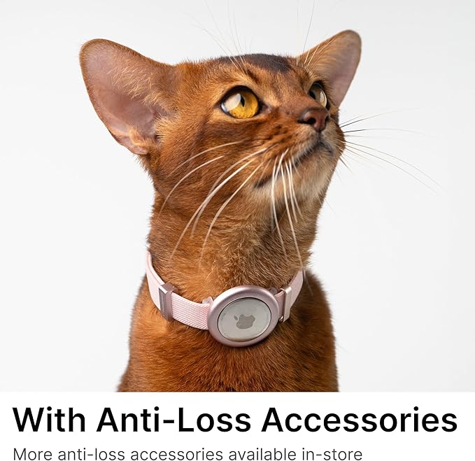 Safety Cat Collar Pro - U.S. IDA Gold Awarding Design, Elastic Quick Release Cat Collar with Buckle Non Breakaway - Lightweight for Kitten All Small Large Cats (Sierra Blue, S 5.9-11.8")