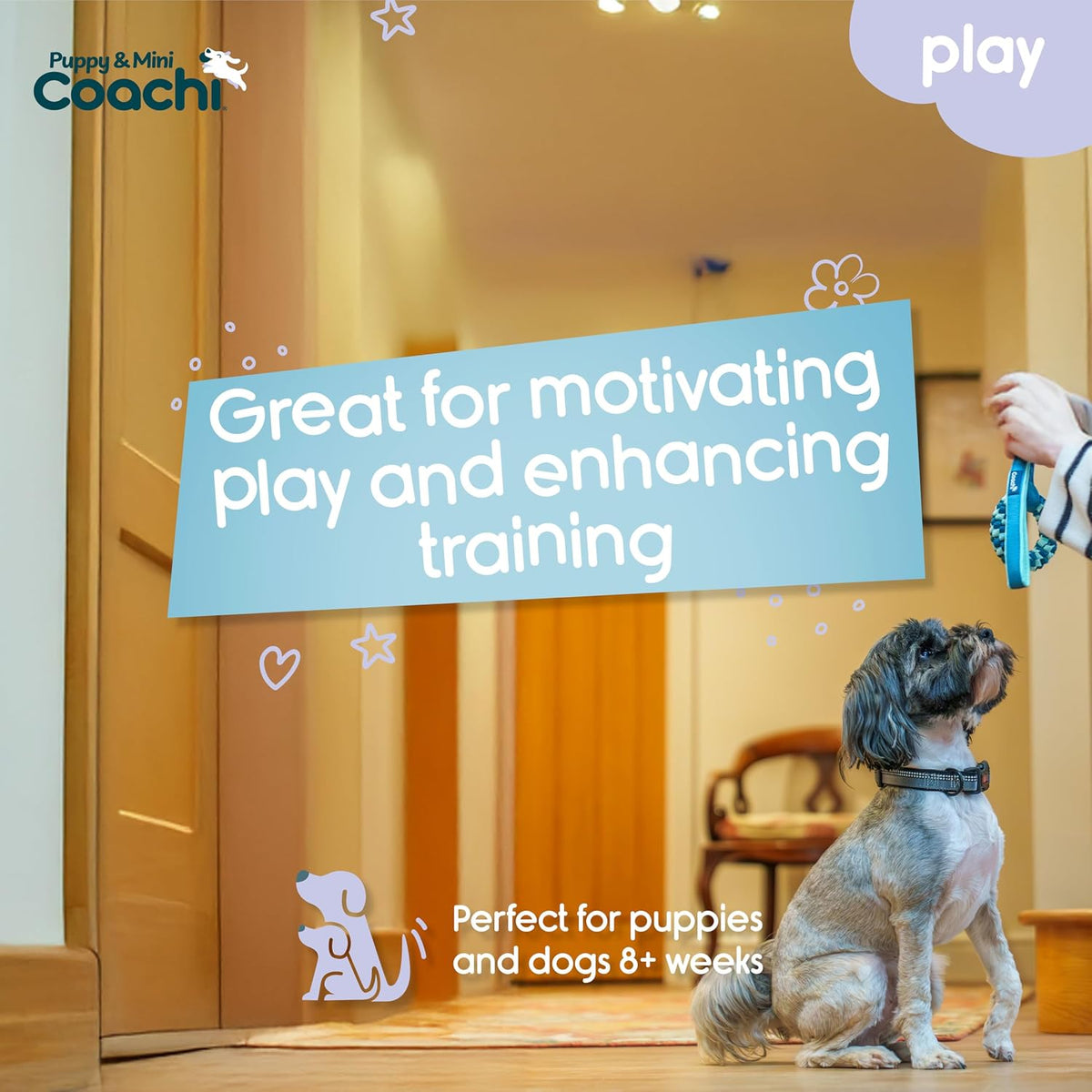 Coachi Puppy & Mini Tuggi Tug, Dog Toy for Tug of War & Play - Tuggi Helix - image 2