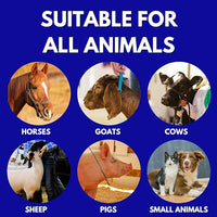 Show Out Skin & Scratches 4 oz Concentrate - Fast Relief and Prevention for Horse Care. Use on Equine Scratches/Mud Fever, Girth Itch, Mange, Thrush, Rain Rot, Ringworm, etc w/Empty Spray Bottle