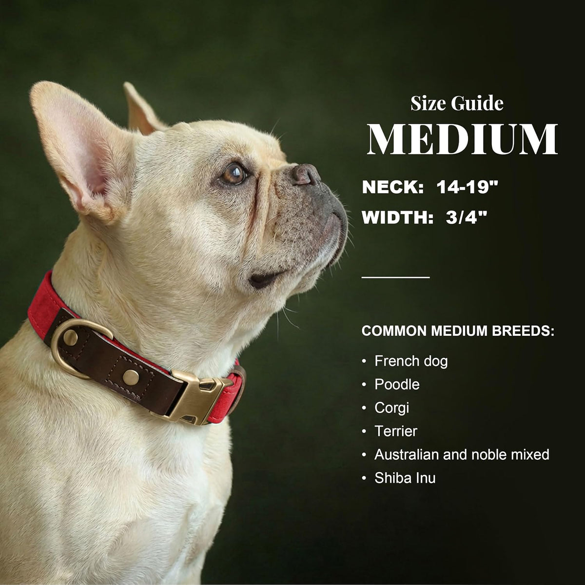 PU Leather Dog Collar for Small Dogs Puppy, Soft Lining, Green S – Essentials for Dogs - Red / M: Neck 14-19", Width ¾" - image 3