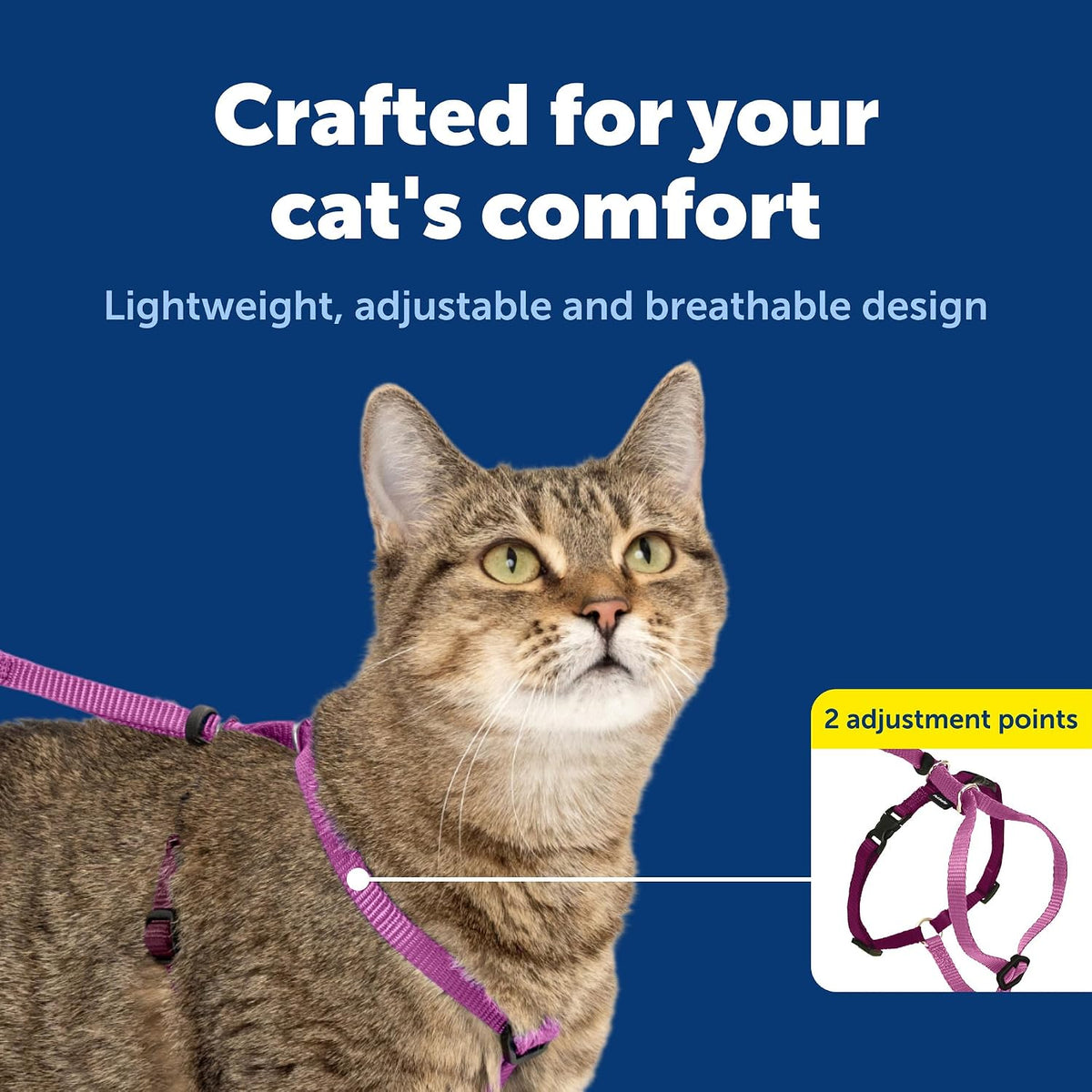 PetSafe Come With Me Kitty Harness and Bungee Cat Leash - Medium (Pack of 1) / Dusty Rose - image 4