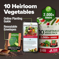 HOME GROWN 𝗨𝗦𝗔 𝗣𝗥𝗘𝗠𝗜𝗨𝗠 10 Variety Vegetable 2,000+ 𝗡𝗢𝗡-𝗚𝗠𝗢 Seeds (Kale Lettuce Tomato Broccoli Beans Peas Bell Peppers Carrot Cucumber Radish) – Indoor & Outdoor Garden Survival Seeds