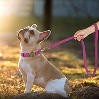 Didog Soft PU Leather Dog Collar, Stylish Quick Released Dog Collars for Medium Dogs, Easy Clean Adjustable Pet Collar for Daily Walking, Purple, M Fit 13-21" Neck