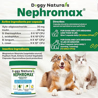 NEPHROMAX™ Synbiotic Capsules Dogs Cats 240