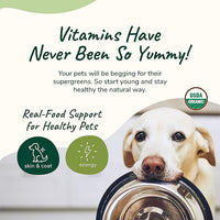 kin+kind Organic Multivitamin for Dogs & Cats - Pet Supplement for Healthy Skin and Coat - Safe, Natural Formula with Wheatgrass, Kelp, Seaweed and Coconut - Made in USA - Bundle (3 x 8 oz)