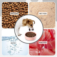 Ceramic Dog Bowl for Food and Water - Medium-Low / White - image 4