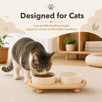 Cat Bowls Set of Two, 5.1” Ceramic Cat Food Bowls - Light Yellow / 2 Bowls+Tray - 5.1" - image 3