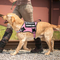 Service Dog Vest Harness and Leash Set+10 Patches - Small / Pink - image 4