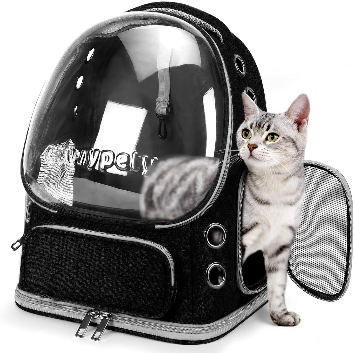 Cat Backpack Carrier, Breathable Cat Carrier Large Space Bubble Pet Backpack for Kitty Small Dog up - Black