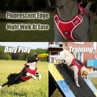 Dog Harness and Leash Set for Large Dogs - Red / S - image 3