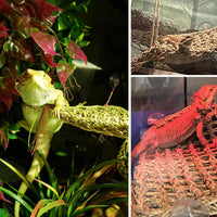 Bearded Dragon Tank Hammock - Triangle - image 2