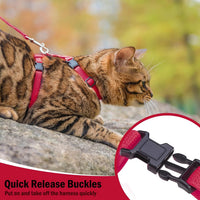 PUPTECK Adjustable Cat Harness and Leash Set Escape Proof Kitten - Medium / Red - image 3