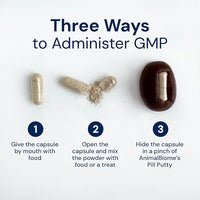 Cat Probiotics - GMP Prebiotics and Probiotics - Reduces Diarrhea Flareups for Cats - KittyBiome